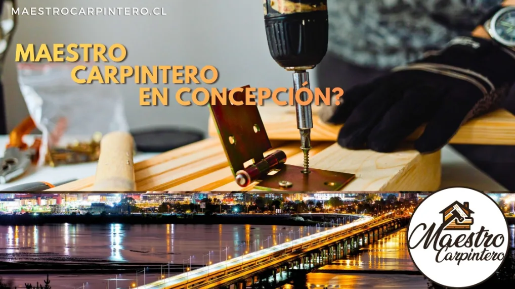 maestro carpintero en concepcion